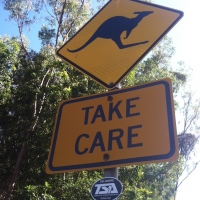  Kangaroo Crossing in Perth, Australia