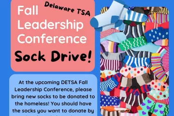 DETSA SOCK DRIVE